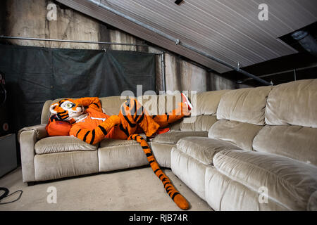 Le Tigre mascotte de l'Université Clemson et Maisonnette au cours de parade football et marcher autour du campus. Banque D'Images