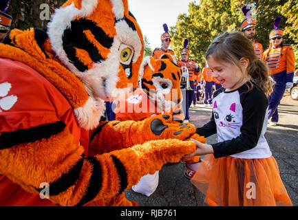 Le Tigre mascotte de l'Université Clemson et Maisonnette au cours de parade football et marcher autour du campus. Banque D'Images