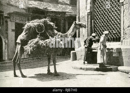 Hommes et chameau à une fontaine, le Caire, Egypte Banque D'Images