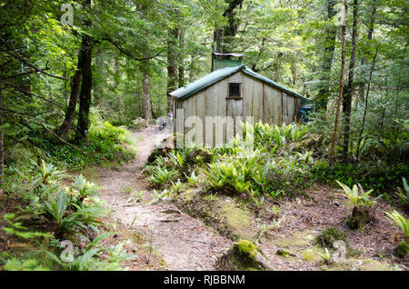 Cabane de cône, cabane forestière pour les randonneurs et les chasseurs, les plages de Tararua, Wellington, Nouvelle-Zélande Banque D'Images