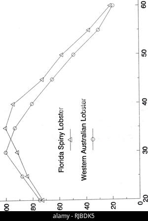 . Caractérisation et comparaison des crustacés et des oxydases polyphénols : cinétique et l'inhibition par des méthodes chimiques. Analyse--oxydases ; Crustacea--analyse ; plantes--analyse.. 35. D 0 Q. E AjiAjpv !eA|iB 8U  %. Veuillez noter que ces images sont extraites de la page numérisée des images qui peuvent avoir été retouchées numériquement pour plus de lisibilité - coloration et l'aspect de ces illustrations ne peut pas parfaitement ressembler à l'œuvre originale.. Chen, Jon-shang. Gainesville, FL, Banque D'Images