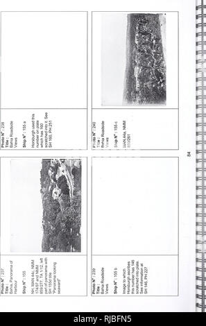 . L'expédition du Challenger, 1872-1876 : un index visuel. . Veuillez noter que ces images sont extraites de la page numérisée des images qui peuvent avoir été retouchées numériquement pour plus de lisibilité - coloration et l'aspect de ces illustrations ne peut pas parfaitement ressembler à l'œuvre originale.. Brunton, Eileen C.. Londres : Natural History Museum Banque D'Images