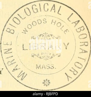 . La chimie cellulaire ; une collection de documents dédiée à Otto Warburg, à l'occasion de son 70e anniversaire. Warburg, Otto Heinrich, 1883- ; biochimie. VOL. 12 (1953) Biochimica et Biophysica ACTA INTRODUCTION OTTO WARBURG, ARTISAN DE LA CHIMIE CELLULAIRE PAR DEAN BURK membre étranger de l'Institut Max Planck pour la physiologie cellulaire, Bevlin-Dahlem {l'Allemagne), et chef de section cytochimie, Instituts nationaux de la santé, de l'United States Public Health Service, Bethesda, Maryland (États-Unis). Otto Heinrich Warburg est né le 8 octobre 1883 à Fribourg à Baden. En i8g6 il est venu avec ses parents à Beriin, où sa grosse Banque D'Images