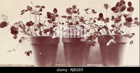 . Défis dans le fourrage et l'éventail de la recherche. Les plantes fourragères ; parcours. . Veuillez noter que ces images sont extraites de la page numérisée des images qui peuvent avoir été retouchées numériquement pour plus de lisibilité - coloration et l'aspect de ces illustrations ne peut pas parfaitement ressembler à l'œuvre originale.. United States. Service de la recherche agricole. Gamme de fourrage et la Direction générale de la recherche. Washington, D. C. : Agricultural Research Service, U.S. Dept. of Agriculture Banque D'Images