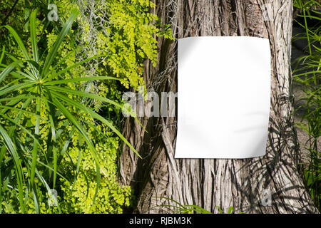 Blank white poster sur tronc d'arbre , signe vide avec la maquette nature background Banque D'Images