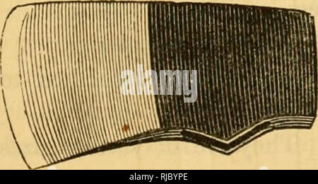 . Charles C. Mapes'. Les machines agricoles. Fig. 360. Traitées Ax.. Veuillez noter que ces images sont extraites de la page numérisée des images qui peuvent avoir été retouchées numériquement pour plus de lisibilité - coloration et l'aspect de ces illustrations ne peut pas parfaitement ressembler à l'œuvre originale.. Mapes, Charles Victor, 1836-1916. [From old catalog]. New York, m'Crea &AMP ; Miller Banque D'Images