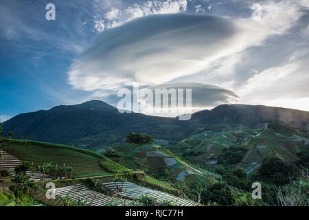 Nuages spectaculaires sur des rizières en terrasse, Indonésie Banque D'Images