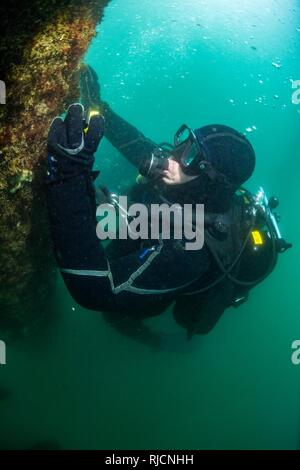 La Marine américaine électricien de construction 2e classe Timothy Dailey, attribué à l'équipe de construction sous-marine (2) de l'UCT, inspecte la détonation cordon autour d'une pile au cours d'une plongée à Commandant, activités liées à la flotte de Sasebo (SCFA), Japon, le 16 janvier 2018. UCT-2 prévoit la construction, l'inspection, l'entretien, et la réparation des installations sous-marines et le bord de l'eau à l'appui de la Flotte du Pacifique. Banque D'Images