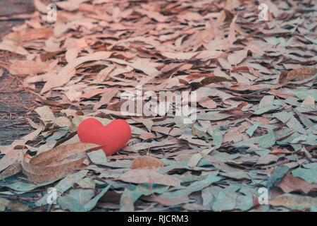 Un petit coeur rouge tombe sur la pile de feuilles sèches sur la route. Banque D'Images