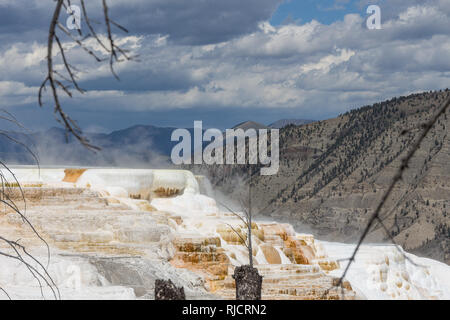 Mammoth Hot Springs, travertin terrasse, parc national de Yellowstone, Wyoming, USA Banque D'Images