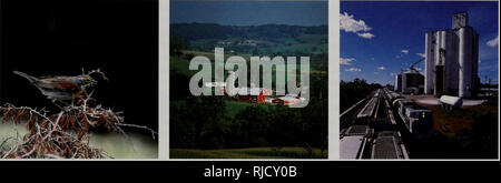 . L'évolution de l'environnement de l'Illinois : tendances critiques : rapport de synthèse de l'évaluation des tendances critiques du projet. L'homme, la pollution, la protection de l'environnement, l'écologie, de l'analyse d'impact environnemental. Le chan(;Environnement Illinois iNCi Tendances dans les tendances. Veuillez noter que ces images sont extraites de la page numérisée des images qui peuvent avoir été retouchées numériquement pour plus de lisibilité - coloration et l'aspect de ces illustrations ne peut pas parfaitement ressembler à l'œuvre originale.. L'Illinois. Ministère de l'énergie et des ressources naturelles ; la nature de l'Illinois Foundation. [Springfield, Illinois ?] : Ministère de l'énergie et de l'Ill. Banque D'Images