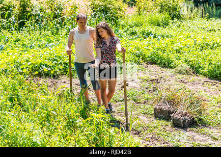 Happy young woman couple agriculteurs avec pelle et fourche holding flower récolte de bulbes de plantes dans des boîtes dans le jardin ou ferme smiling Banque D'Images