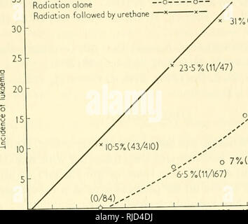 . Base cellulaire et l'étiologie de la fin de l'effets somatiques d'ionisation rayonnement. Rayonnement -- effet physiologique. De NOUVELLES PREUVES SUR LE MÉCANISME DE LA LEUCÉMOGENÈSE 51 dose de rayonnement, il apparaît (voir Fig. 1) qu'il y a un seuil de la dose pour la radiothérapie seule, mais apparemment pas pour le rayonnement suivi d'un traitement d'uréthane. En supposant que, pour entreprendre des actions, le rayonnement est aussi efficace qu'il est administré en une seule dose ou en doses fractionnées (pour lequel, par conséquent, il n'y aurait pas de dose seuil) alors que pour jjronioting action (qui est connu pour être un processus très lent), radiat Banque D'Images