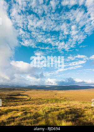 Vue sur bogland lors d'une journée ensoleillée à la fin de l'été de l'extérieur de Gort une Choirce (Gortahork), comté de Donegal, Irlande Banque D'Images