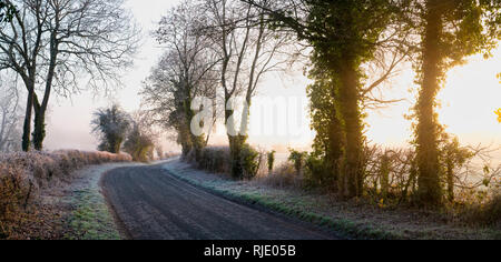 Route de campagne près de Cotswold swinbrook dans la brume d'hiver et le gel au lever du soleil. Swinbrook, Cotswolds, Oxfordshire, Angleterre. Vue panoramique Banque D'Images