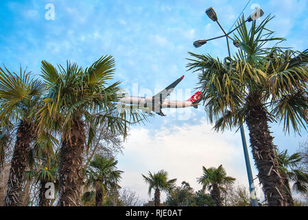 De Turkish Airlines avion survolant étonnant paysage tropical. Plan d'atterrissage entre les palmiers. À côté de l'aéroport Atatürk à Istanbul, Turquie Banque D'Images