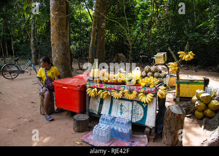 Vendeur de fruits et d'eau à Angkor Wat, Cambodge. Banque D'Images