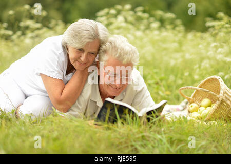 Portrait of loving couple de personnes âgées ayant un pique-nique Banque D'Images