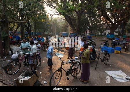 Les pêcheurs avec leurs captures matin, Kochi, Kerala, Inde Banque D'Images