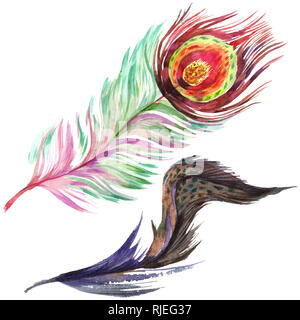 De plumes d'oiseaux colorés isolé de l'aile. Plume aquarelle pour le fond. Illustration à l'aquarelle. Aquarelle Dessin aquarelle mode isoler Banque D'Images