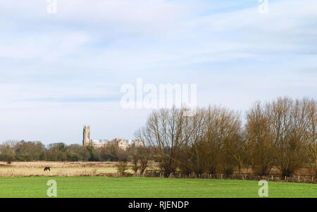 L'ancien ministre (église), vue de l'ensemble du paysage agricole avec des arbres sur l'hiver lumineux matin à Beverley, Yorkshire, UK. Banque D'Images