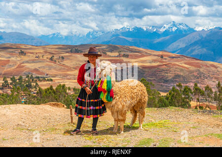 Les Quechua péruvien dame en costume traditionnel avec son alpaga dans la Vallée Sacrée des Incas et la gamme de montagne des Andes, Cusco, Pérou. Banque D'Images