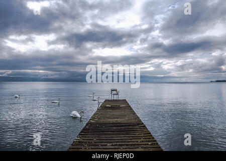 Une chaise abandonnée sur une jetée donnant sur un lac de Genève avec trouble de cygnes dans l'avant-plan. Banque D'Images