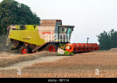 Rendmt Lexion moissonneuse batteuse Class 740 Banque D'Images