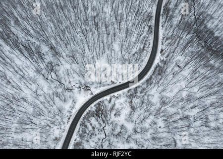 Vue de dessus de l'hiver route forestière. Drone aérien droit Banque D'Images