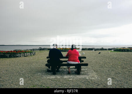 Traîner dans la baie de Galway Salthill, prenez une pause et observez les oiseaux Banque D'Images