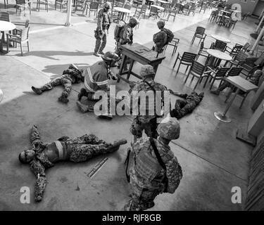 CAMP LEMONNIER, Djibouti (nov. 20, 2013) faux blessés sont portés à un point de collecte des blessés au cours d'un exercice d'entraînement et de tir sur le Camp Lemonnier. Banque D'Images