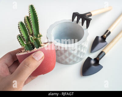 Main tenant cactus en pot en plastique rouge avec le semoir et béton géométrique jeu d'outils de jardin sur fond blanc, de l'agriculture concept. Banque D'Images