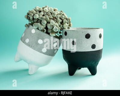 Couple mignon noir et blanc motif à pois sur des semoirs avec fleur. Pots en béton peint pour la décoration de la maison sur fond vert clair wi Banque D'Images