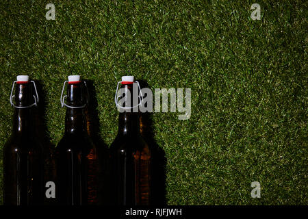 Vue de dessus des flacons en verre avec de la bière lying on grass Banque D'Images