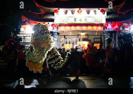 Los Angeles, Californie, USA. 4 Février, 2019. Danse du lion en face de l'Thein Hau Temple à minuit du Nouvel An lunaire 2019. La célébration en plein air s'est produit au cours de la pluie. Credit : Rommel Canlas/Alamy Live News Banque D'Images