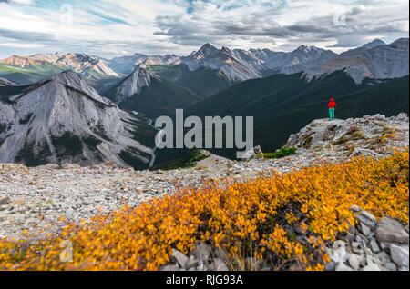 Female hiker sur le dessus de la teneur en soufre du sentier Skyline, une vue sur la vallée de la rivière et du paysage de montagne, vue panoramique, gamme Nikassin Banque D'Images