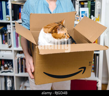 PARIS, FRANCE - Nov 4, 2018 : curieux chat sort du carton d'Amazone après la livraison Banque D'Images