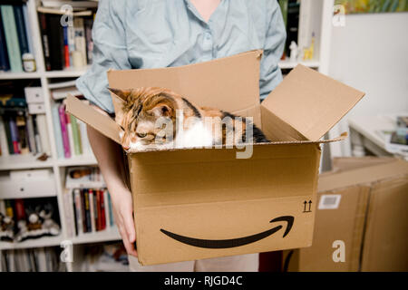 PARIS, FRANCE - Nov 4, 2018 : Woman holding Amazon premier carton avec le nouveau chat qu'elle a acheté en ligne Banque D'Images