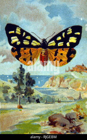 Butterfly près d'un village russe, par Arkady Alexandrovitch Plastov (1893 - 1972), peintre réaliste socialiste russe Banque D'Images