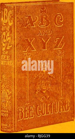 . L'examen des apiculteurs. La culture de l'abeille. Le manuel faisant autorité sur l'Apiculture A B C et d XYZof LA CULTURE DE L'ABEILLE L'éditions de ce merveilleux livre sKgrregate maintenant plus de 160 000 exemplaires vendus. Ce volume contient plus de deux fois le da- ta qui sont contenues dans tout autre travail sur apicultui-e ; imprimés en quatre langues, prouvant la pop- ularity comme une autorité sur le sujet de l'Apicutlure.. Veuillez noter que ces images sont extraites de la page numérisée des images qui peuvent avoir été retouchées numériquement pour plus de lisibilité - coloration et l'aspect de ces illustrations ne peut pas parfaitement resembl Banque D'Images