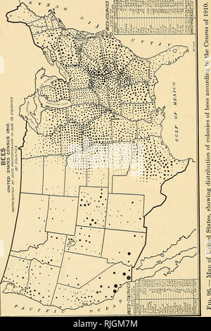 . L'apiculture ; une analyse de la vie de l'abeille et de la production de miel. La culture de l'abeille ; le miel. 214 de l'apiculture. Veuillez noter que ces images sont extraites de la page numérisée des images qui peuvent avoir été retouchées numériquement pour plus de lisibilité - coloration et l'aspect de ces illustrations ne peut pas parfaitement ressembler à l'œuvre originale.. Phillips, Everett Franklin, 1878-1951. New York, The Macmillan Company, Londres, Macmillan & Co., Ltd ,. Banque D'Images
