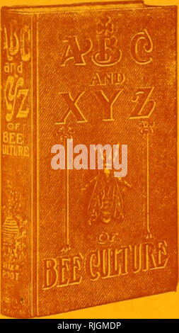 . L'examen des apiculteurs. La culture de l'abeille. Le manuel faisant autorité sur l'Apiculture A B C et d XYZof LA CULTURE DE L'ABEILLE L'éditions de ce livre merveilleux maintenant regrouper plus de 160 000 exemplaires. Ce volume contient plus de deux fois le da- ta qui sont contenues dans tout autre travail sur l'apiculture ; jirinted dans quatre langues, pi-oving le ularity- comme une autorité sur le sujet de l'Apicutlure.. Veuillez noter que ces images sont extraites de la page numérisée des images qui peuvent avoir été retouchées numériquement pour plus de lisibilité - coloration et l'aspect de ces illustrations ne peut pas parfaitement resembl Banque D'Images