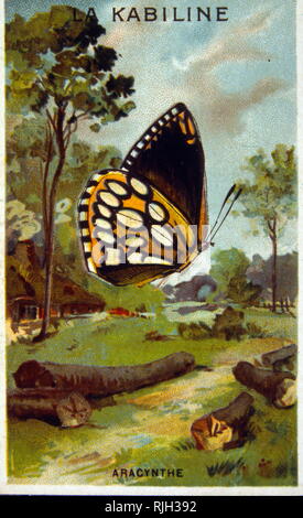 Papillon par Arkady Alexandrovitch Plastov (1893 - 1972), peintre réaliste socialiste russe Banque D'Images