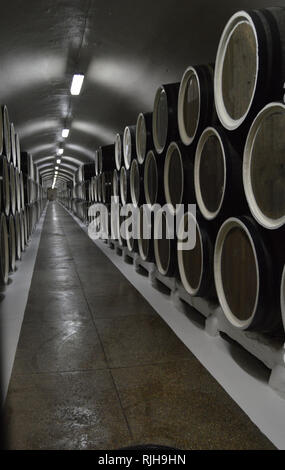 Des fûts de chêne se trouvent dans les rangées dans la cave à vin, le stockage et le vieillissement du vin. Banque D'Images