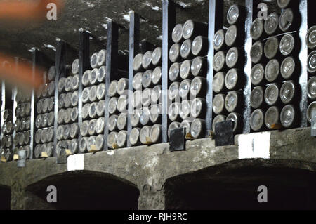 Old dusty bouteilles de vins sont stockées dans la cave à vin Banque D'Images