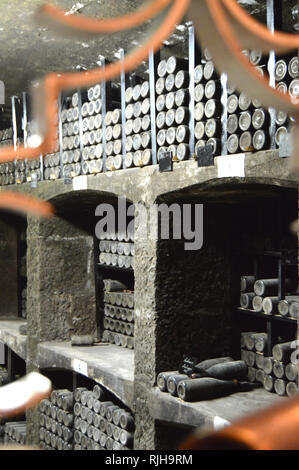 Old dusty les bouteilles de vin sont stockés dans la cave à vin, vue à travers la grille métallique Banque D'Images