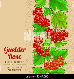 Guelder rose modèle vectoriel sur un fond de couleur Illustration de Vecteur