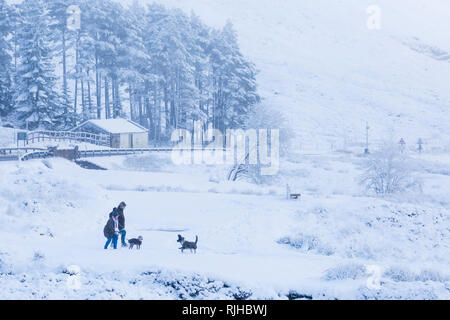 Couple de jouer avec les chiens dans la neige sur une froide journée d'hiver avec la neige et le givre à Rannoch Moor, Glencoe, Highlands, Scotland UK en Janvier Banque D'Images