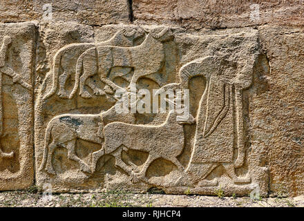 Photos et images orthostat sculpté relief Hittite décoratifs du Sphinx Gate. Bord représente un homme conduisant des chèvres pour être sacrifié. Alaca Höyük (Alacah Banque D'Images