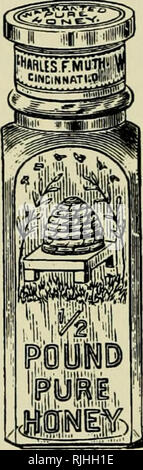 . Le guide de l'apiculteur : manuel, ou du rucher. Les abeilles. . Veuillez noter que ces images sont extraites de la page numérisée des images qui peuvent avoir été retouchées numériquement pour plus de lisibilité - coloration et l'aspect de ces illustrations ne peut pas parfaitement ressembler à l'œuvre originale.. Albert Cook, John, 1842-1916. Chicago : York